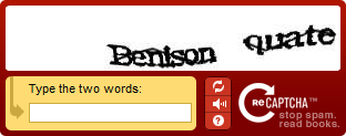 Screenshot of the default reCAPTCHA challenge box